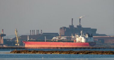 US pauses sanctions on Iranian oil âstranded at seaâÂ to help curb rising prices